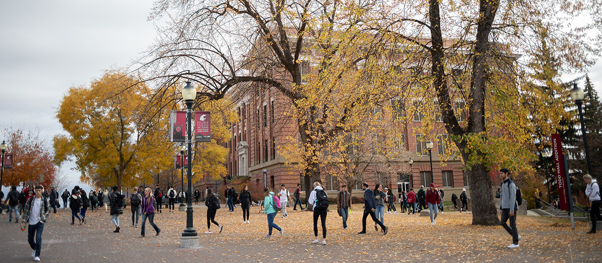 people on campus in autumn